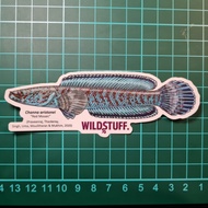 Channa ARISTONEI RED MOSAIC STICKER