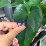 Sim tray for samsung A01 phone