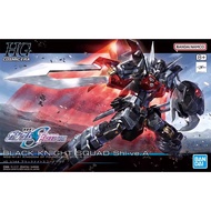 HGCE Black Knight Squad Shi-ve.A 2nd