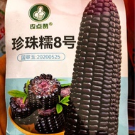 [National Trial Corn] Farmers Like Pearl Glutinous No. 8 Black Corn Cantonese Fresh Glutinous No. 6 