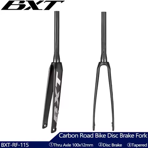 BXT Carbon Road Bike Fork, Flat Mount, Disc Brake, Thru Axle Road Bike Fork, Internal Brake Line fit
