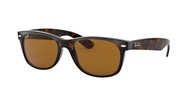 New Wayfarer Classic Sunglasses