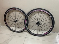 Fulcrum racing 1 輪組