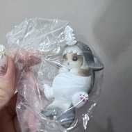 貓咪鯊魚造型公仔