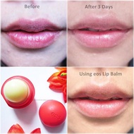 Original EOS Lip Balm Fresh