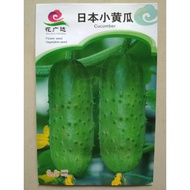 Japanese Cucumber Seeds / Biji Benih Pokok Bunga Timun Jepun