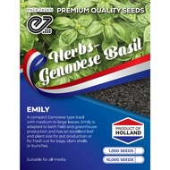 Enza Zaden - Genovese Basil Seed - Emily (Sweet Basil)
