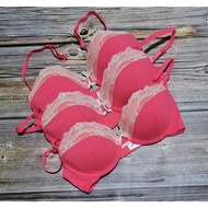 Signature EURO Bra 32B 34B Regular Size