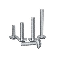 TTM Mushroom Head 316 Screw Phillips Round Head Screw Stainless Steel Screw Pan Head Large Flat Head