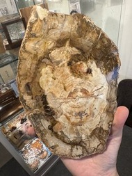 樹化玉片