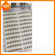 [aimilim] No-Glue Cluster Eyelashes, 1pc, 1pc / Korean Cluster Eyelashes / No-Glue Application / 100
