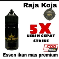 Essen Raja koja premium essen ikan mas terbaik / essen paling bagus