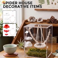 5 Pcs Jumping Spider Accessories Kit Jumping Spider Enclosure Accessories for Terrarium Decor SHOPSK