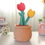 Potted Plant Series Sunflower Tulip Cactus Plush Toy Soothing Doll Doll Plant Decoration Gift