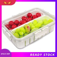 [ap4l43.] Snackal Box Fridge Storage Divided Serving Tray As Shown PET Reusable Food Platter Portabl
