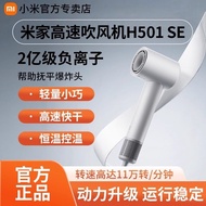 Xiaomi High-Speed Hair Dryer H501SE Household High-Wind Negative Ion Hair Care Quick-Drying High-Pow