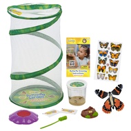 Butterfly Mini Garden Gift Set with Live Cup of Caterpillars – Life Science & STEM Education - Best 
