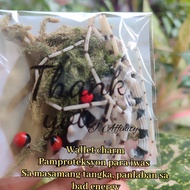 Salindugok Korales Dahon ng Laurel Wallet Charm Traditional Lucky charm Accessories pampaswerte