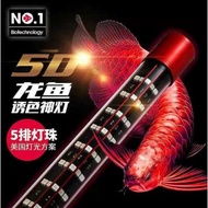 ***READY STOCK*** 5D Arowana LED Display Light 马来西亚现货  NO1 四维 5D