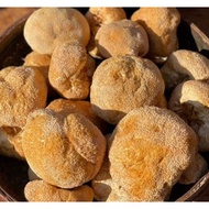 猴头菇 Lion's Mane Mushroom 50g+-