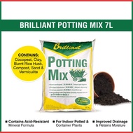 Brilliant Potting Mix Soil perfect for flowering plants and potted plants! (7 Ltr)