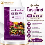 (20 Kilograms) Granular Fertilizer Formula 20-20-20 Giffarine