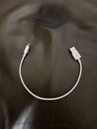 Baseus 20cm USB-A to Lightning Charging Cable 充電線