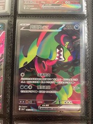 PTCG 3張1set 夠讚狗ex SAR RR AR
