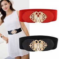 Dress Belt for Women Elastic Stretchable Waistband Women Dress Accessories