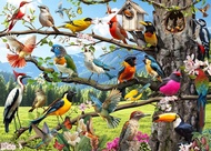 Jigsaw Puzzles 500 Pieces Wild Birds Puzzles for Adults Nature Puzzle with Hummingbirds and Flowers 