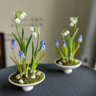 雪片蓮與葡萄風信子微縮黏土盆栽