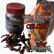 UDANG MENYALA Booster Warna Channa Maru