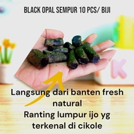 batu cincin black opal sempur ranting kecil 10 pcs / Bahan batu opalized wood banten batu cincin aki