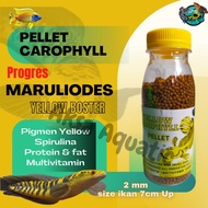 Best Product MARULIODES Fish Pellet Channa YELLOW Sentarum PROGRES YELLOW