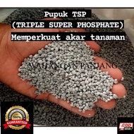 PUPUK TSP 46% ORIGIN OF CHINA MEMPERKUAT AKAR TANAMAN ORIGINAL REPACKING 1 KG