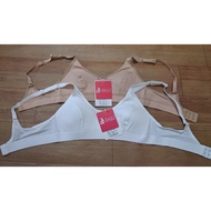 ️Zagu 1806 schoolgirl shirt