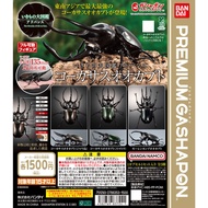 Bandai Gashapon Biological Illustrated Book Nanyang Big Beetle Caucaso Big Beetle Beetle Simulation 