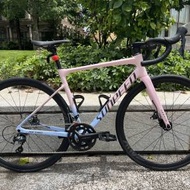 2025 SUNPEED ASTRO 阿童木 20速 油剎桶軸碳前叉鋁合金公路車 送水架前後蛙燈