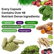 Paradise Herbs Earth's Blend Once Daily Multivitamin, No Iron, 48 Organic Superfoods, Probiotics, An