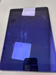 Apple iPad7