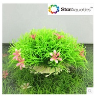 2/set Landscaping aquarium simulation landscaping plants decorations aquarium fish tank decorative l