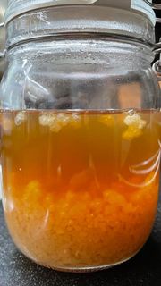 水克菲爾 腸道益菌 water kefir