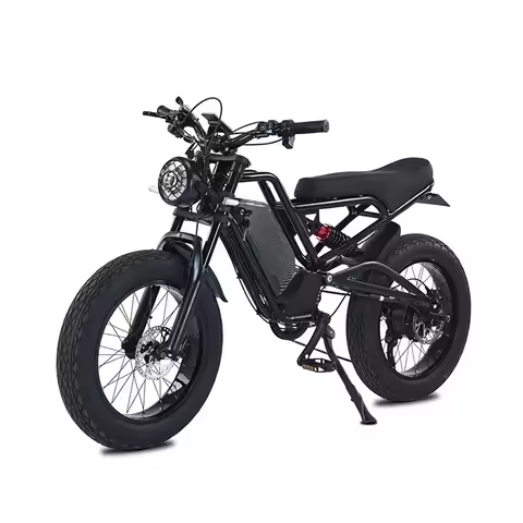 Akez Suspension Fat Tire Bike for Adult Electric Bicycle E-Dirt Bike Mountain E-Bike Sports 1500W 48