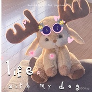 [48Hourly Delivery]Three Things Collection Deer Plush Doll Sleeping Girl Doll Birthday Gift Cute Plu