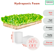 FV hydroponic foam 4cm high 100 cubes | hydroponics foam horticultural foam hydroponic sponge grow medium growing medium