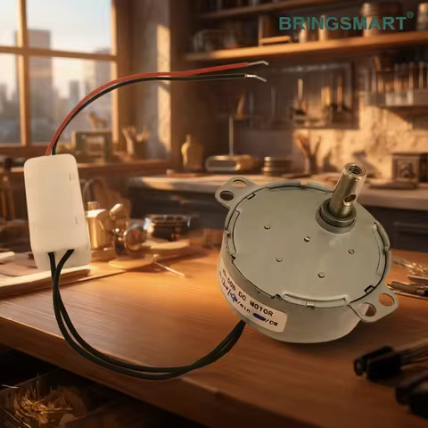 Bringsmart Mini DC Gear Motor JS-50(B) 12Volt BLDC Synchronous Motor DC 5-24V Brushless DC Motor 50H