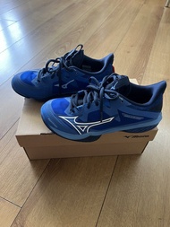 Mizuno badminton shoes 室內鞋 羽毛球鞋