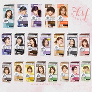Liese Bubble Color Hair Dye Series Dark Chocolate / Dark Navy / Natural Black / Natural Brown / Clear Lavender and More