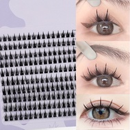 160 Rows Cluster Lashes Faux Mink Eyelashes Cluster Natural Eyelash Extension 3D Russia Strip Indivi