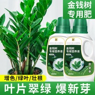 Welcome to the Shop, All Ready Stock Like You Can Consult and Order Money Tree Special Nutrient Liqu